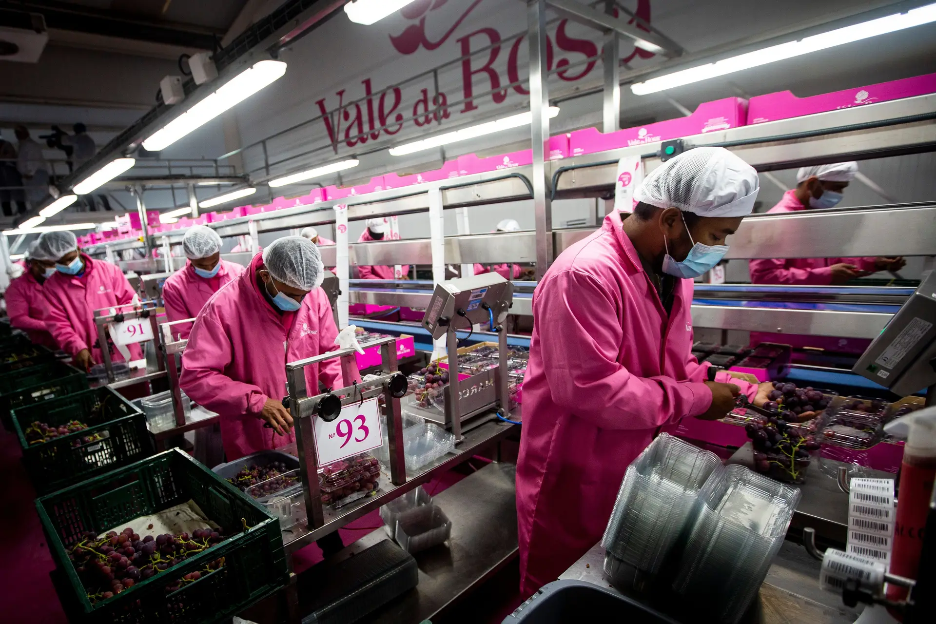 Investidores espanhóis negoceiam compra do grupo Vale da Rosa, para dar um novo futuro ao negócio das uvas sem grainha