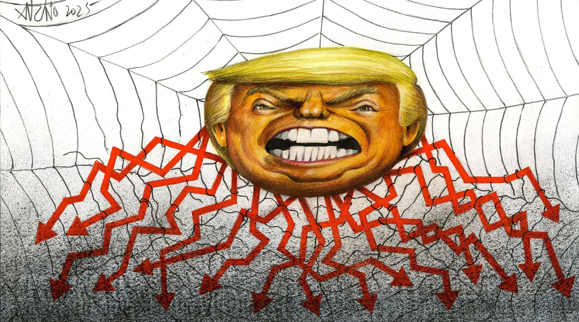 Aranha no seu labirinto