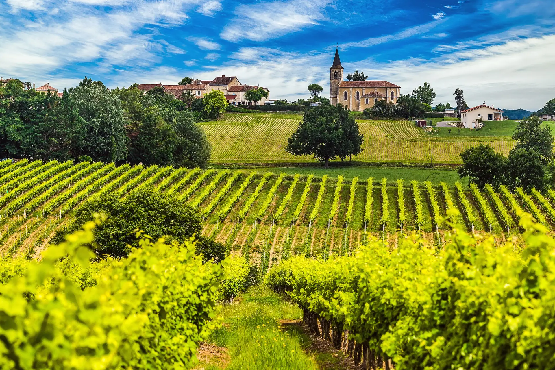 Vinhos: De Bordéus e do Loire para o mundo