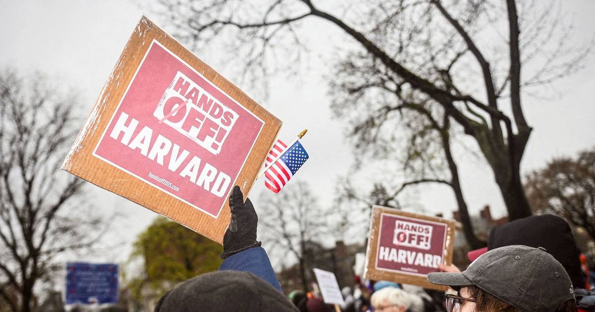 Harvard vai rever oferta e admissões em resposta a acusações de preconceito