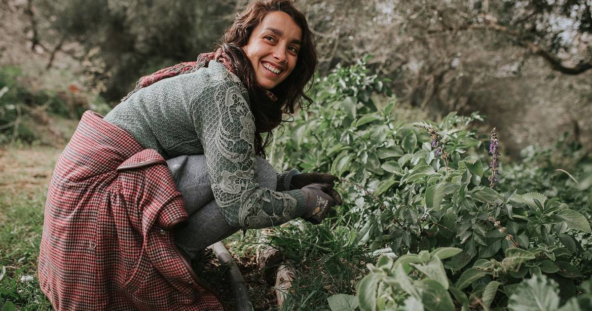 E que tal desafiar desempregados a criarem projetos de natureza? “É uma viagem profundamente transformadora”