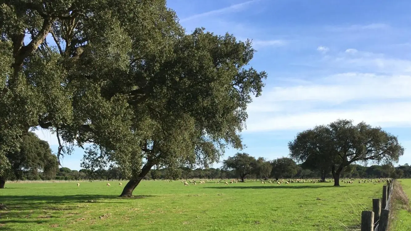 Agência Portuguesa do Ambiente chumba Mina da Lagoa Salgada, mas decisão final só sai daqui a seis meses