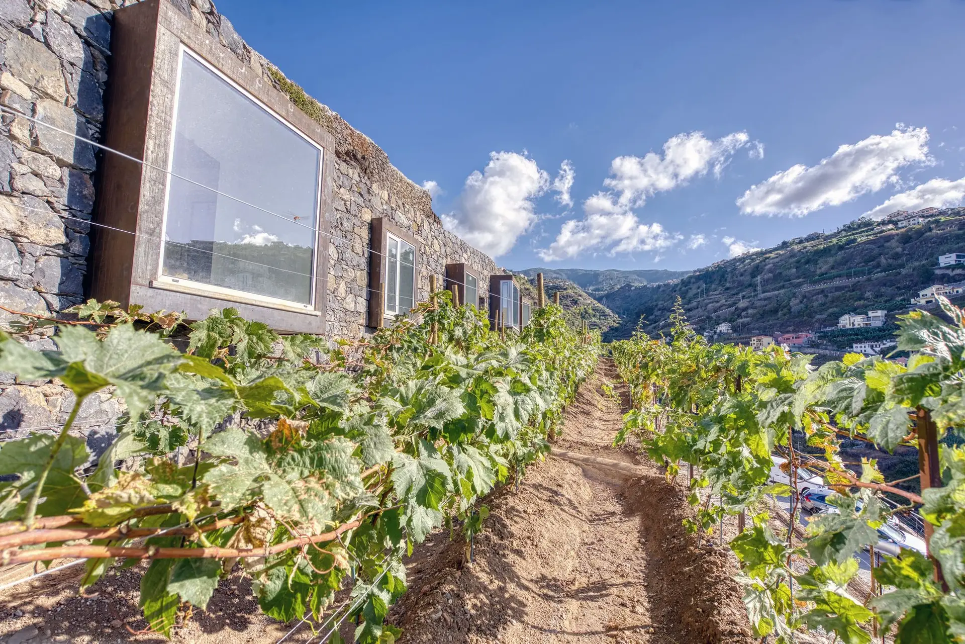 Entre vinhas e socalcos, este alojamento acolhe novo espaço romântico e quer ser enoturismo de referência na Madeira