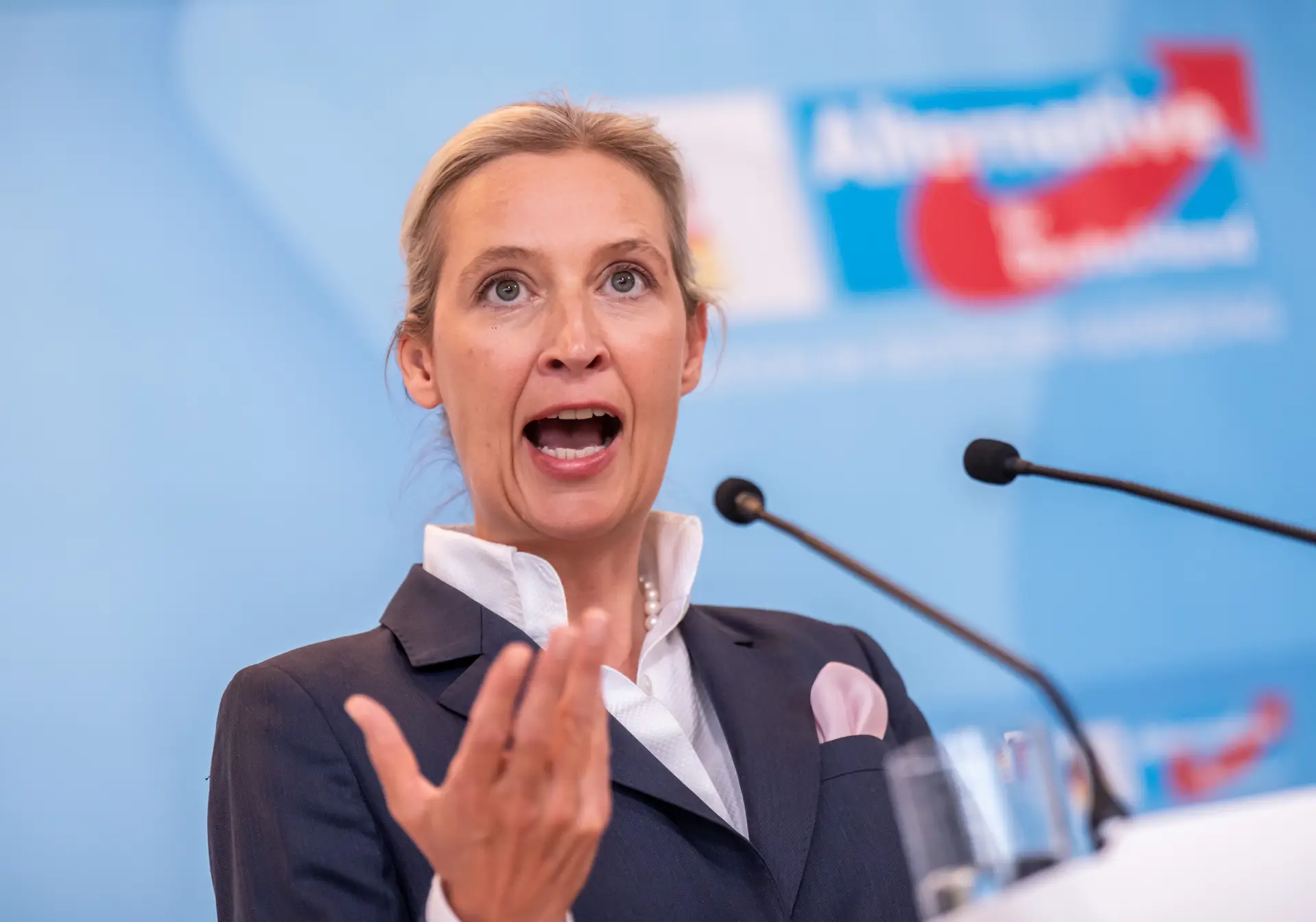 Alice Weidel, colíder da AfD