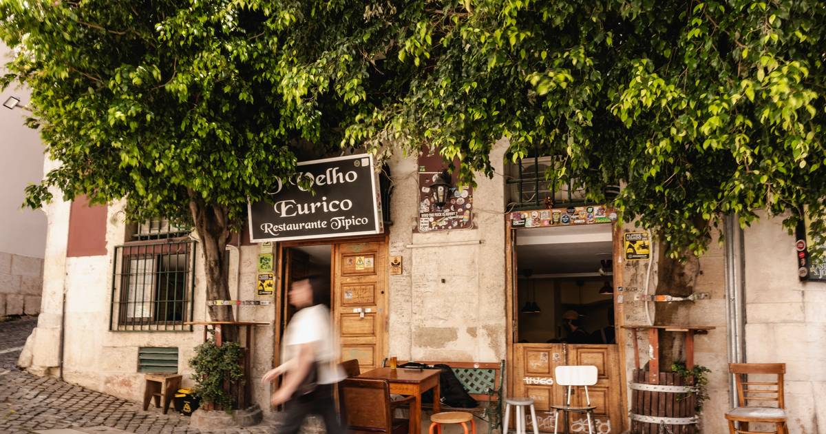 Olá, Velho Eurico. Famosa tasca lisboeta está de regresso para "comer bem e sem cerimónias"