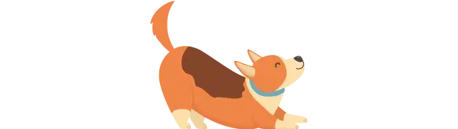 Descobre as maiores curiosidades sobre os teus pets!