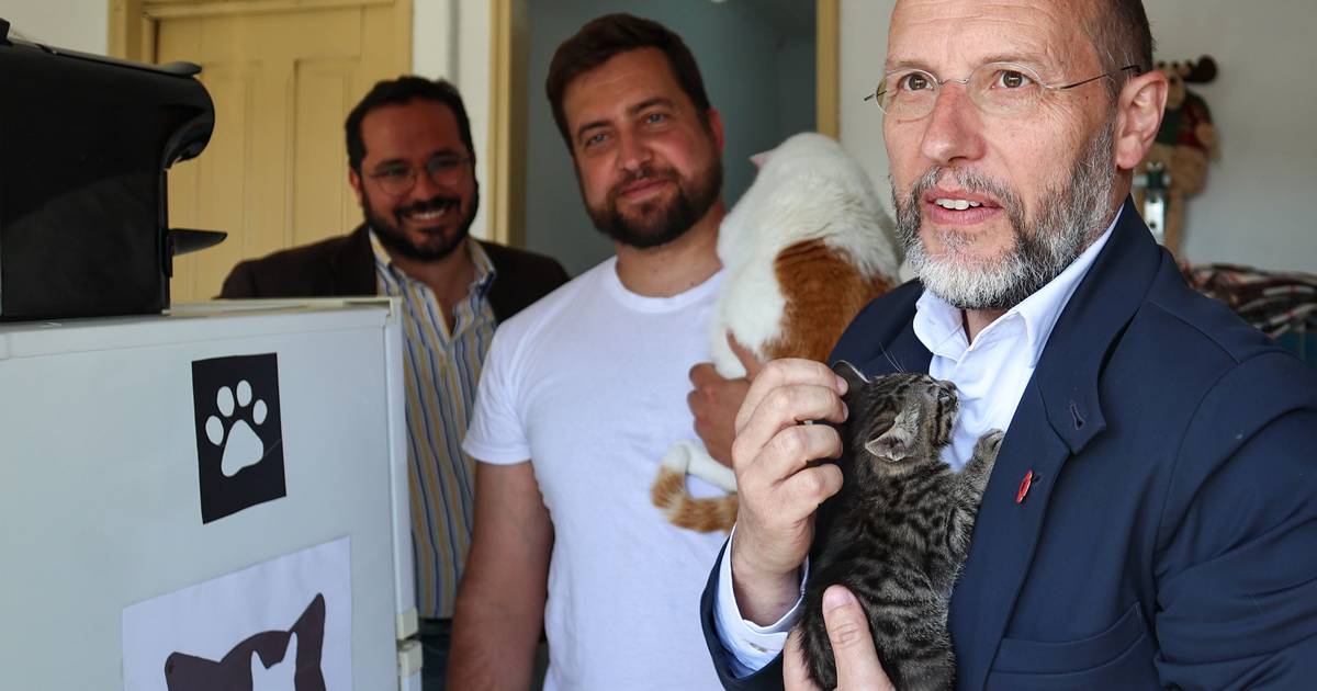 Tavares diz que Livre "não" é um gato para adoção do PS e "não depende de pedinchar nada"