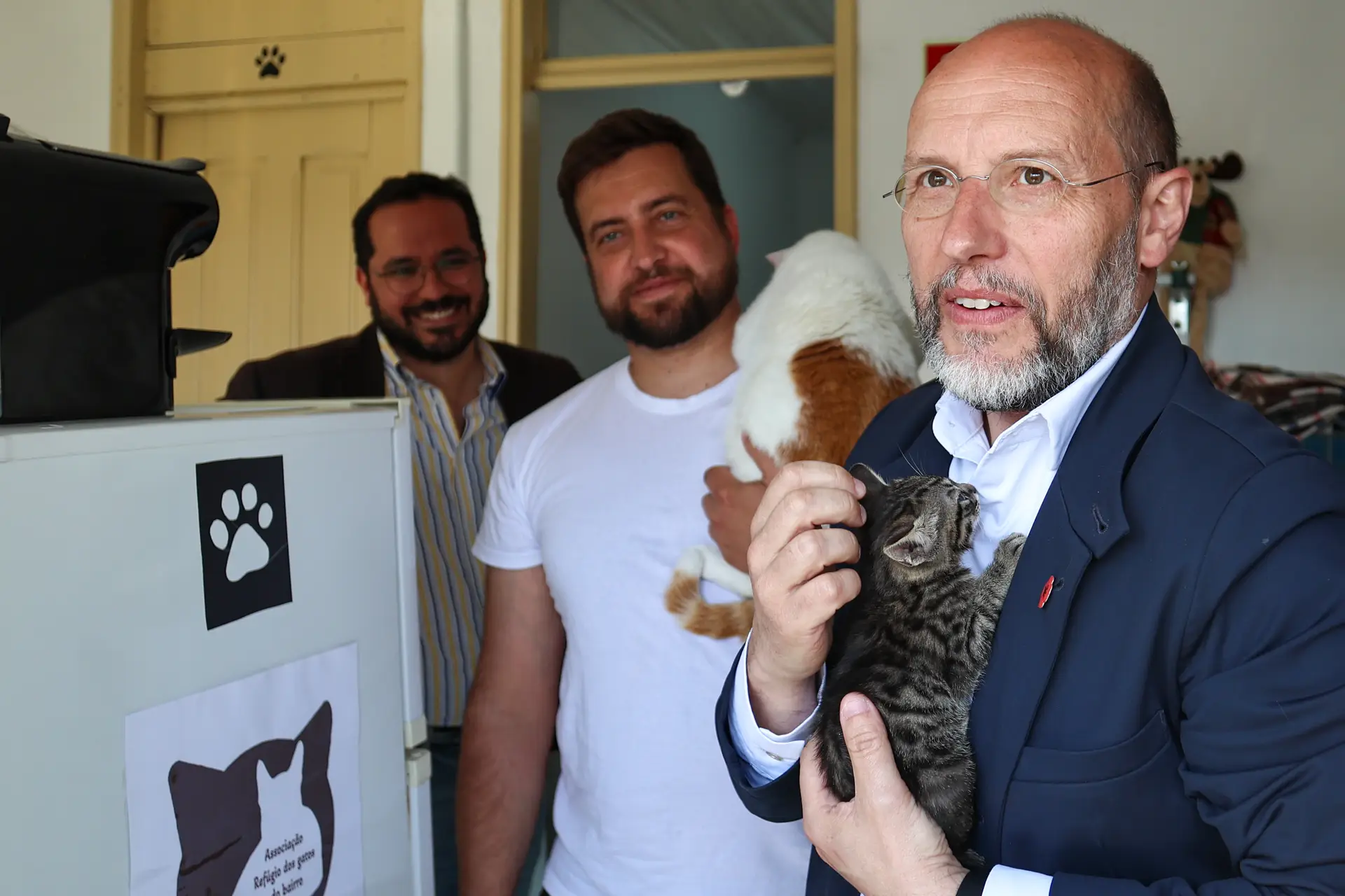 Tavares diz que Livre "não" é um gato para adoção do PS e "não depende de pedinchar nada"