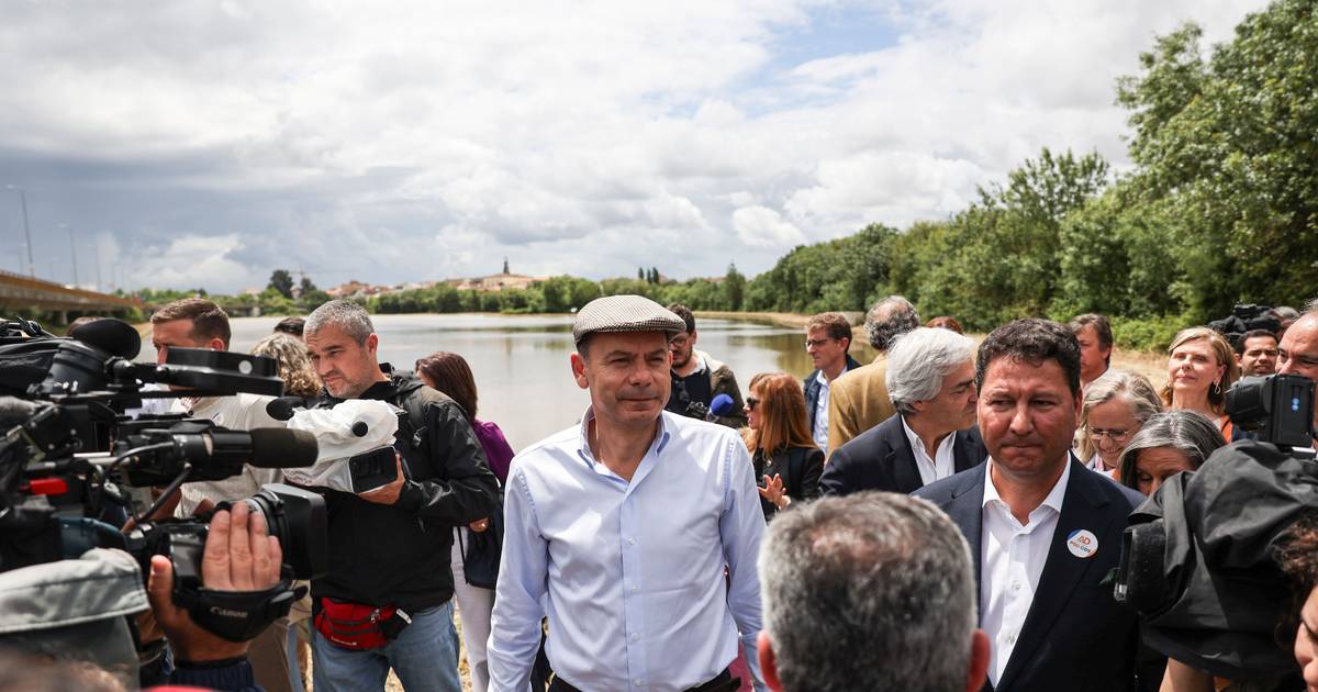 Luís Montenegro pôs a boina e foi ao Ribatejo ver do arroz. Nuno Melo também esteve, mas só o PSD falou de agricultura na coligação