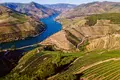 No Douro há angústia nas vinhas