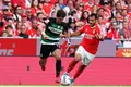 Sporting agarra-se à história, Benfica ao título de 1955