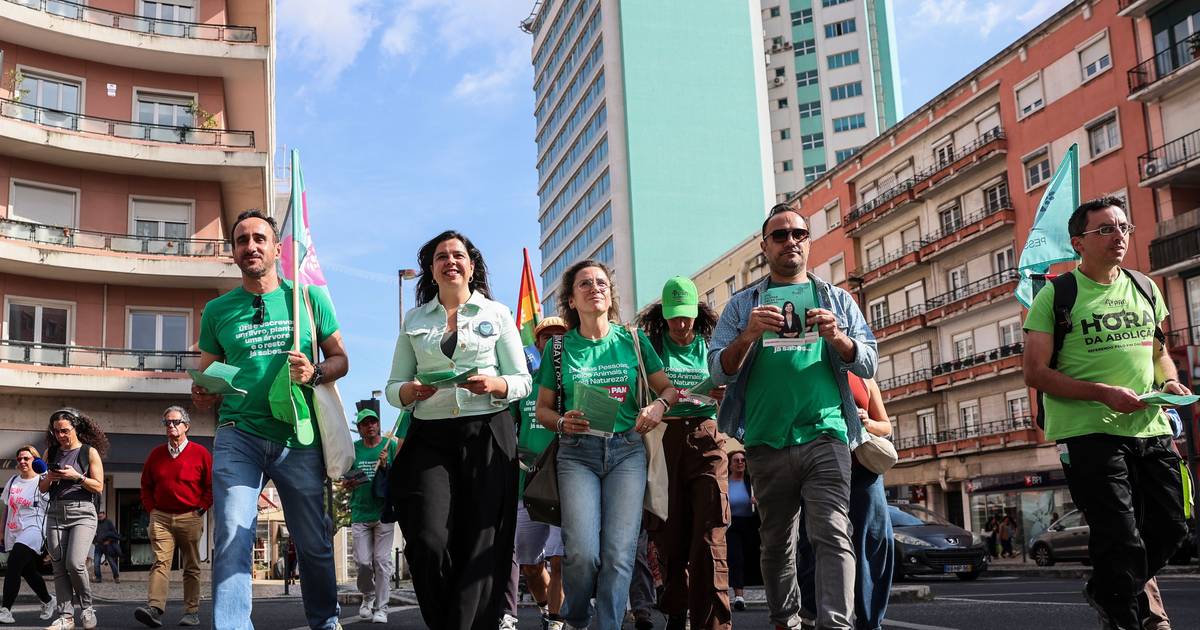 Victorino D’Almeida foi trunfo de Inês Sousa Real, que pede reforço no PAN, "o partido que mais trabalhou"