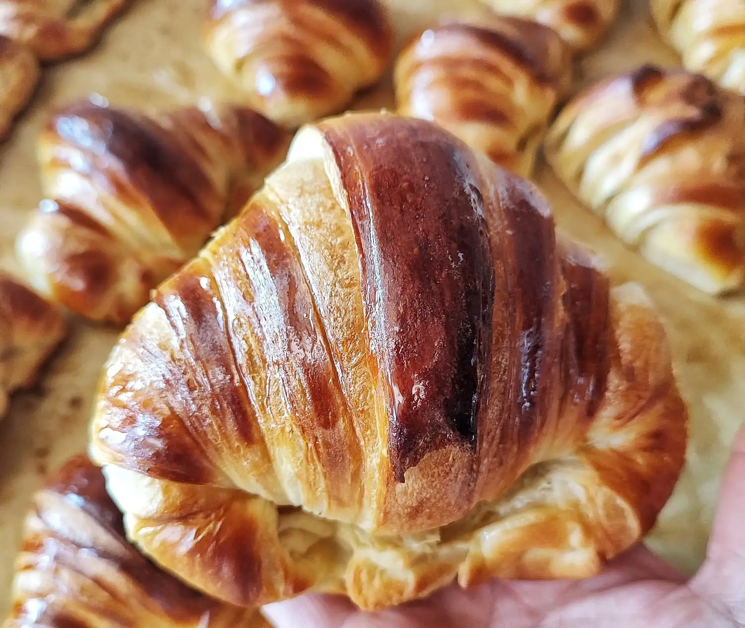 Apreciador de croissant? Este foi considerado o melhor à moda do Porto