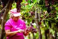 Viabilidade do Vale da Rosa mais perto de acontecer