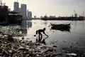 Do Ambiente deviam ser todos os dias