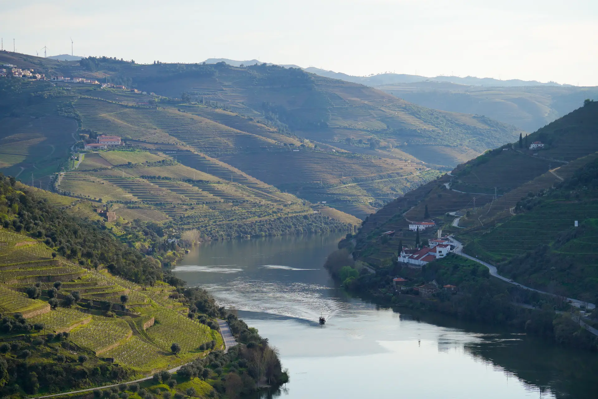 Com o Douro como cenário, Alijó descobre-se entre pão, azeite e vinho