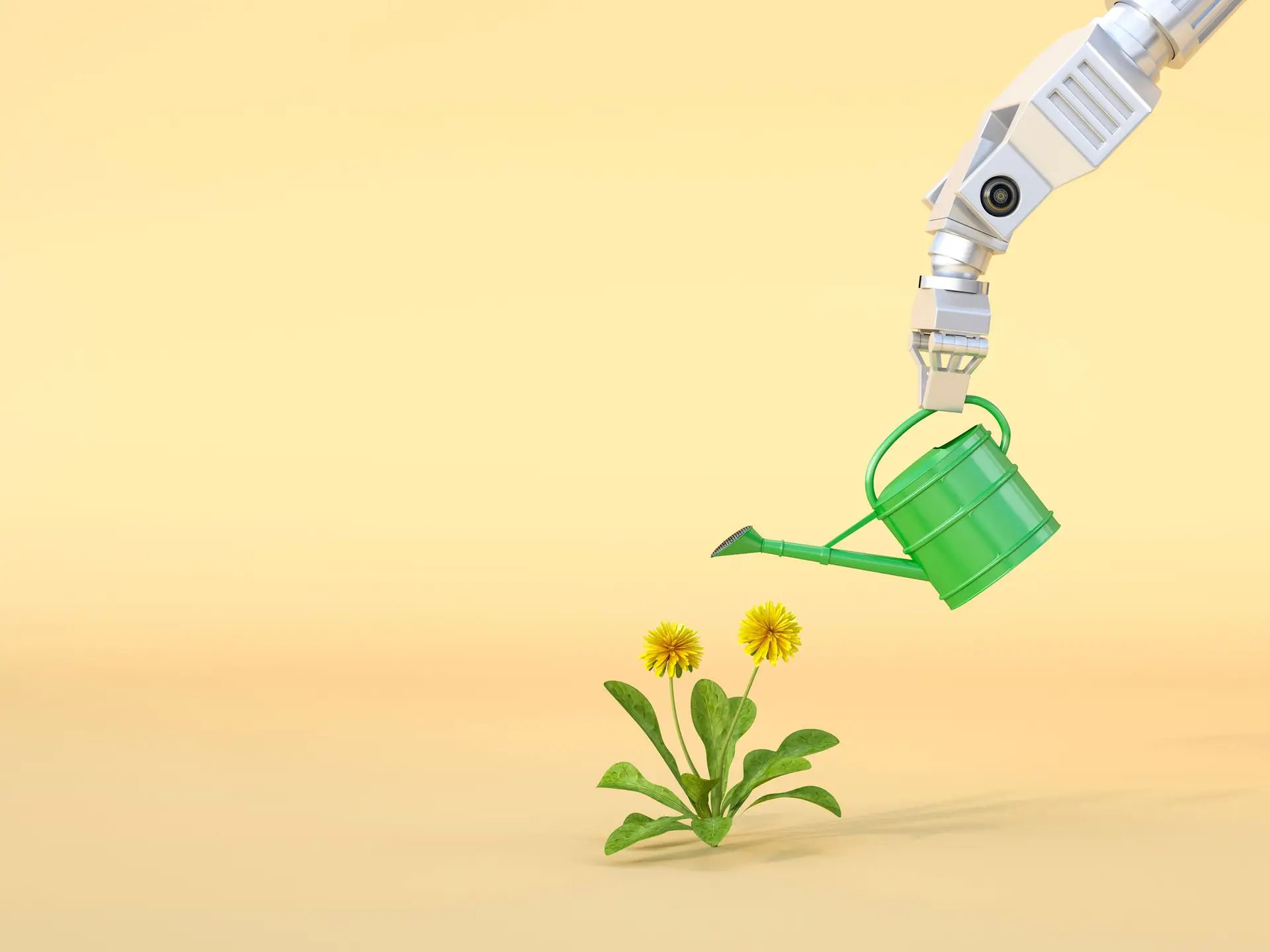 Floresta portuguesa olha para o futuro