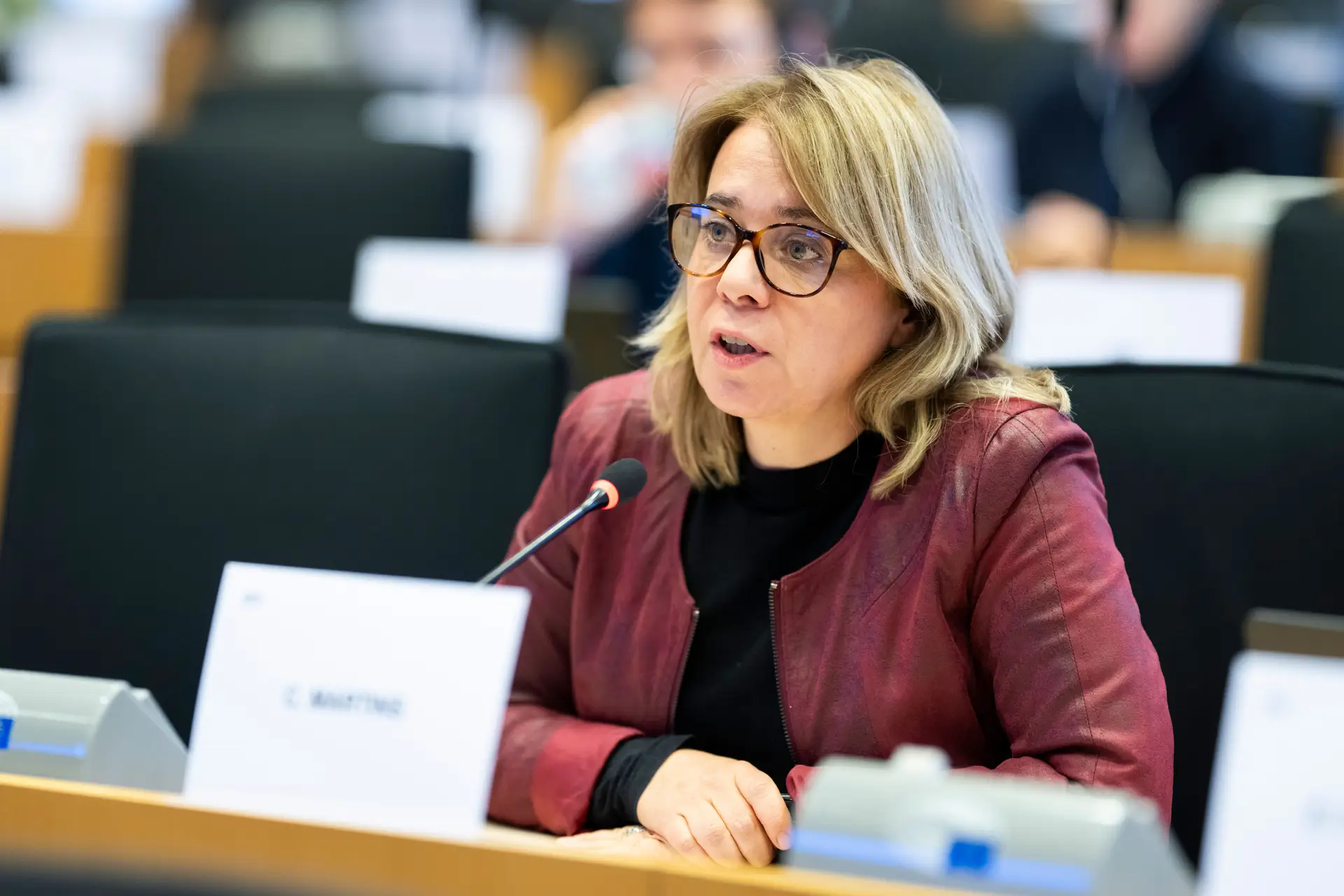Catarina Martins no Parlamento Europeu