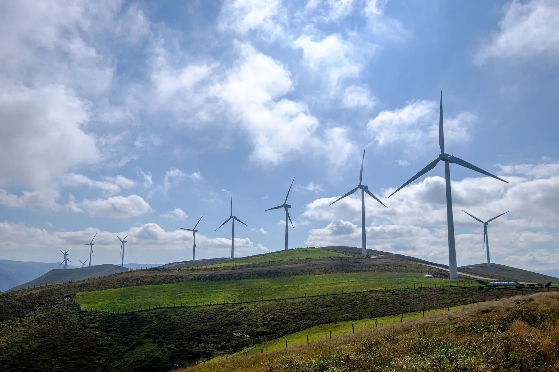 Eurogas defende o gás como pilar da transição energética e alerta para previsões irrealistas da União Europeia