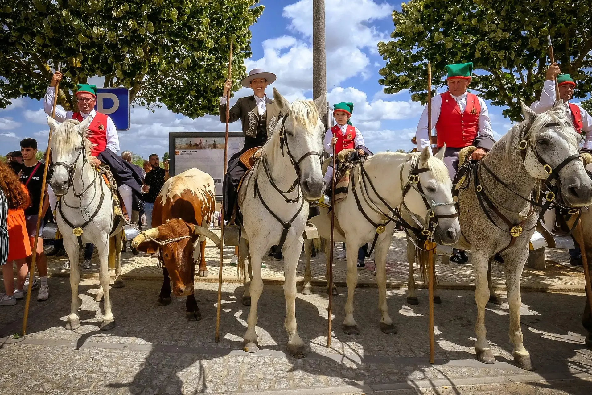 Festa da Amizade / Sardinha Assada, em Benavente