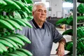 Como garantir a vida de uma empresa para além do líder