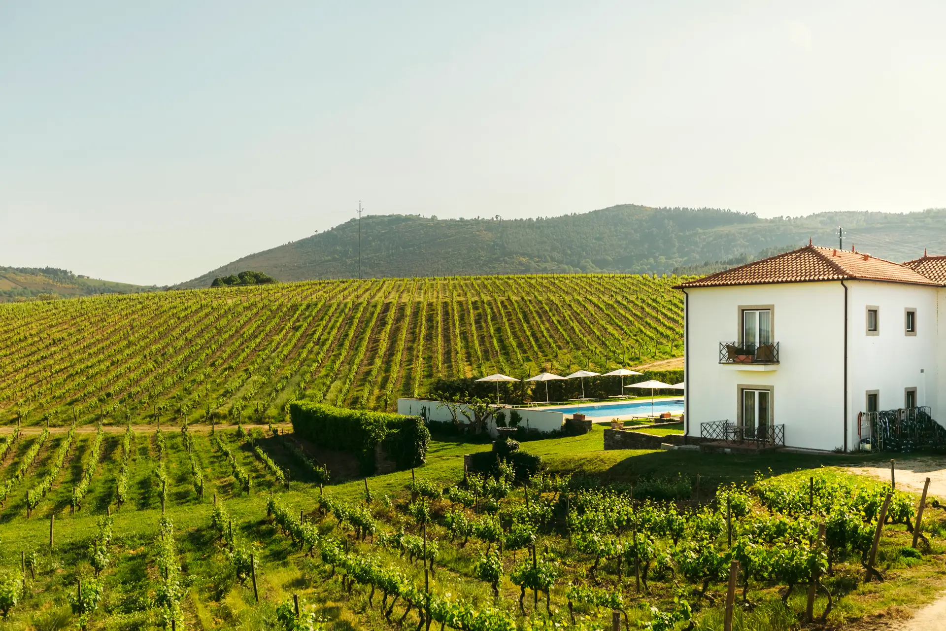 No coração do Douro vinhateiro, Quinta do Portal renasce como hotel de charme rural em Sabrosa