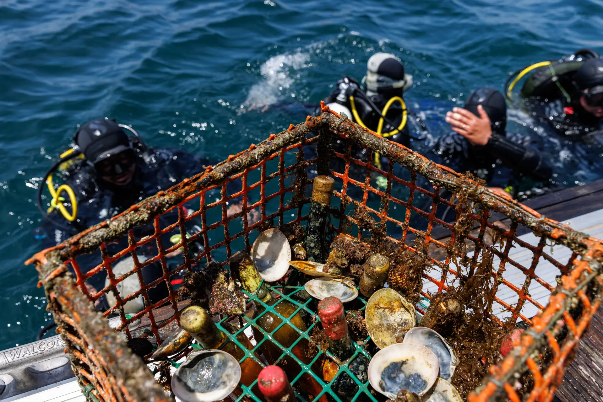 Nesta Adega do Mar, na costa alentejana, mergulha-se para "pescar" vinho no fundo do oceano