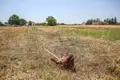 Choque e preconceito em Samora Correia