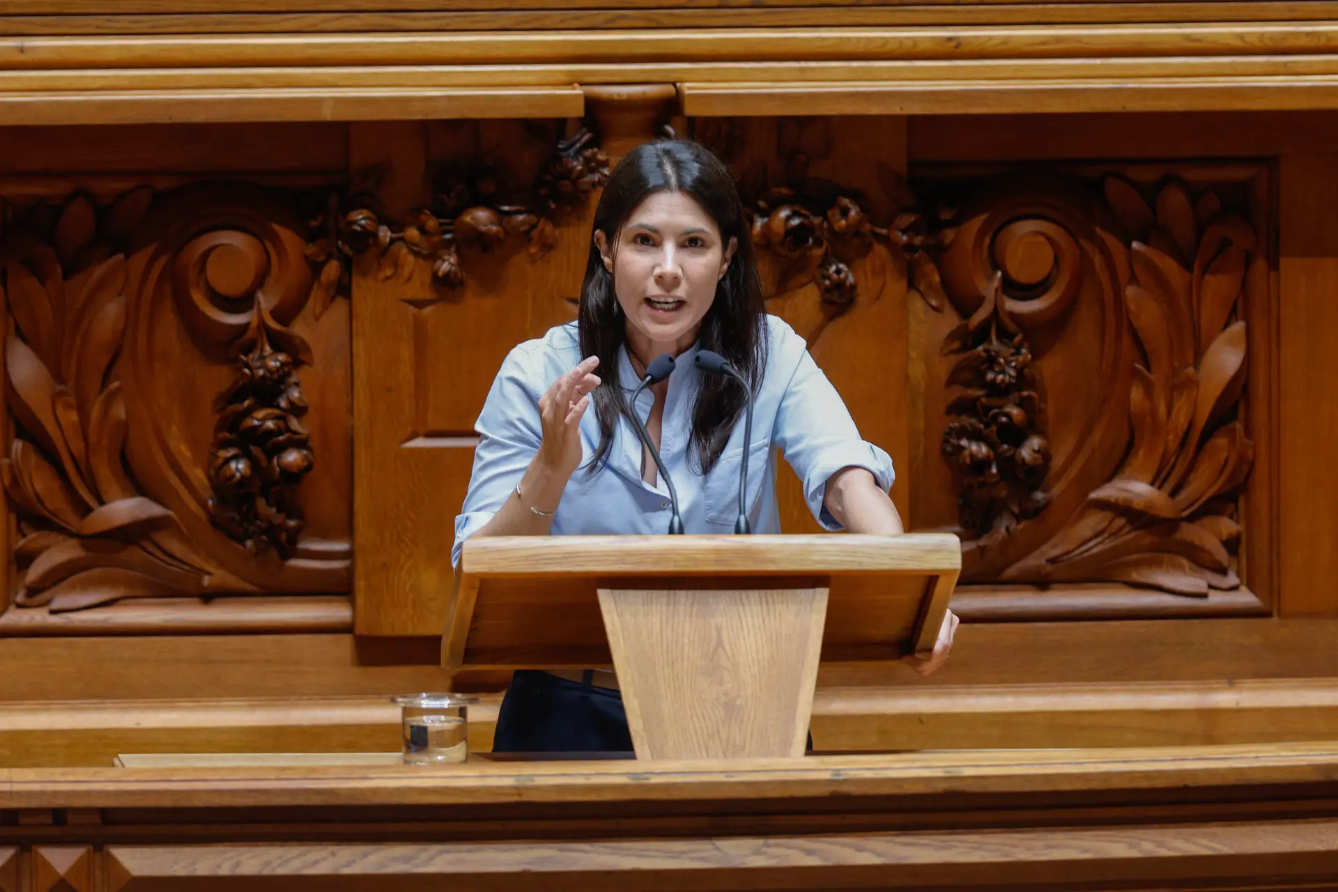 Parlamento aprova violação como crime público, com divisões na bancada do PS