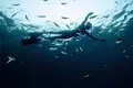Um homem-tartaruga mergulha para salvar a ilha do Príncipe