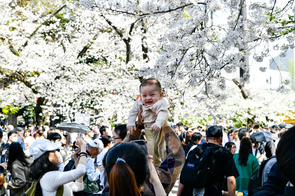 Uma mulher tira uma foto do seu bebé sob as cerejeiras em flor no Parque Ueno, em Tóquio