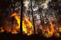 Um país de Incendiários