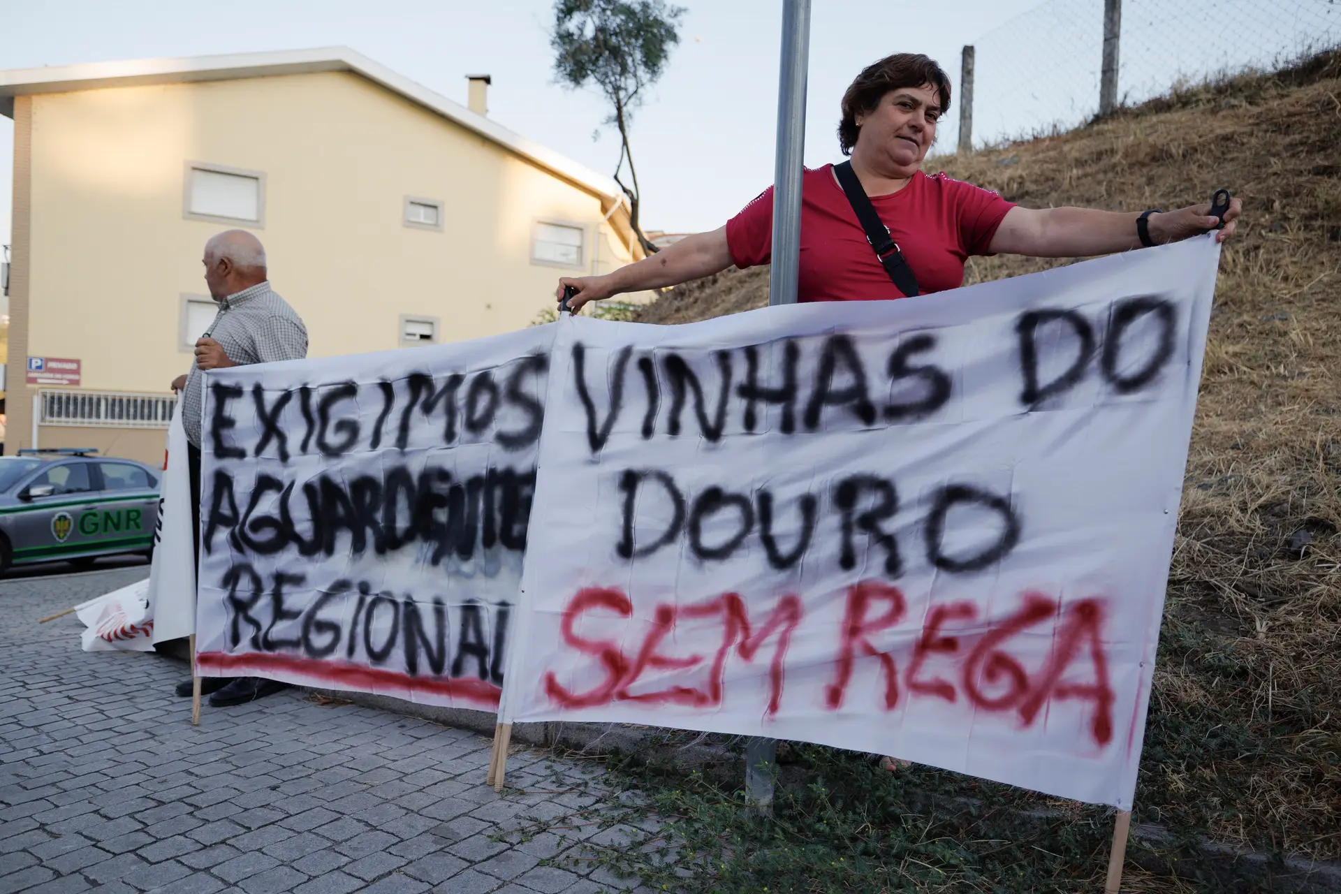 Crise no Douro: "Não quero subsídios, quero é vender as minhas uvas a um preço justo", pede viticultor