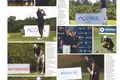golfe_6