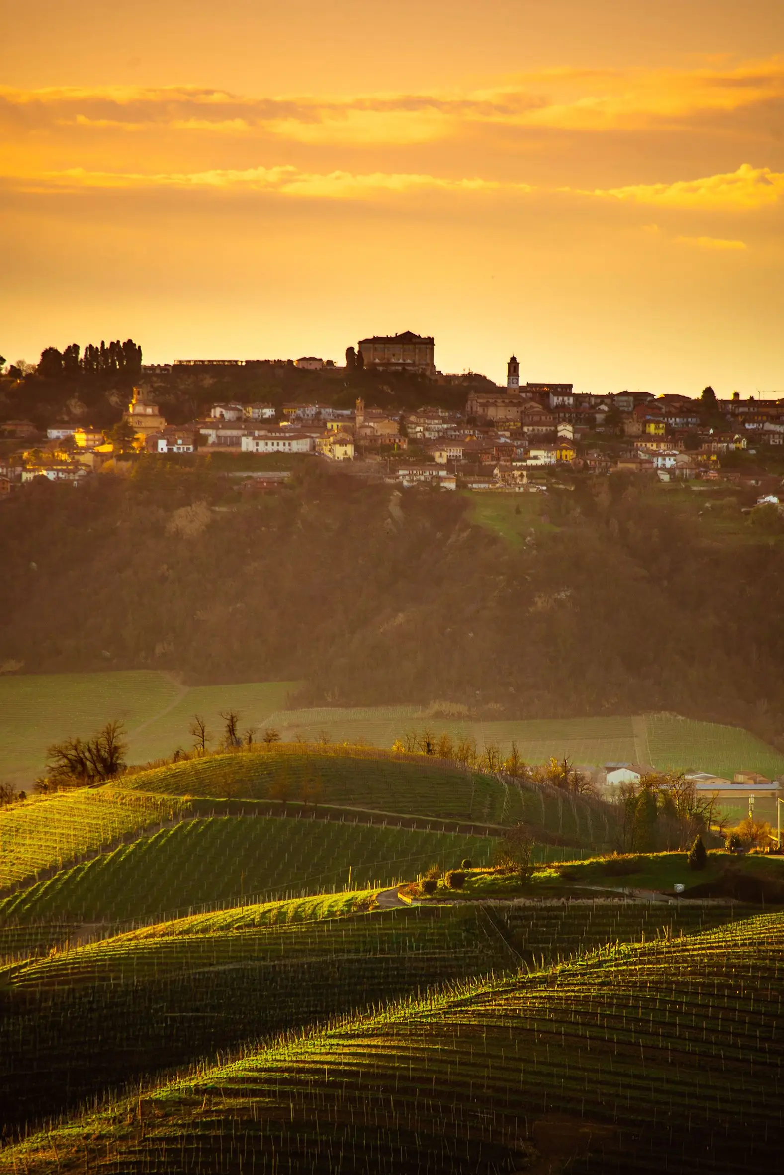Imagem de Barbaresco, comuna da região do Piemonte, no Norte de Itália, próxima de Santo Stefano Belbo, onde Pavese nasceu em 1908, e de Turim, onde morreu em 1950