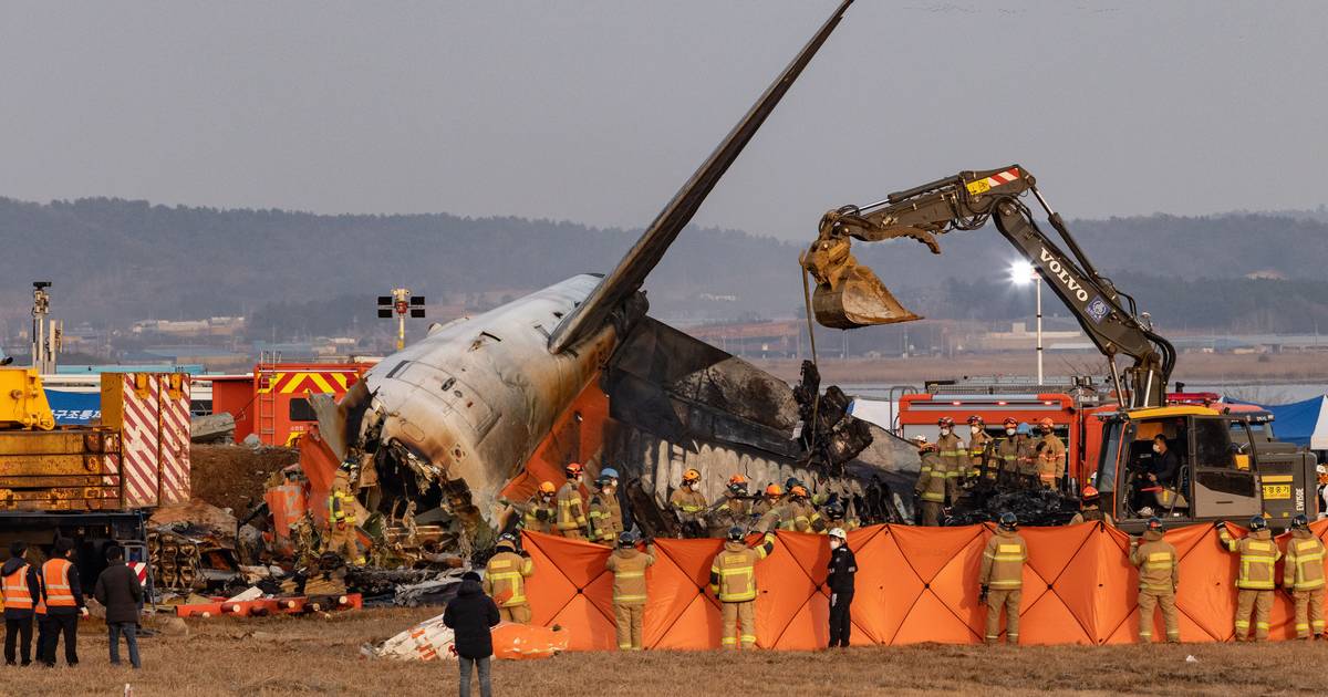 Pilota Jeju Aira pomotoma izklopila napačen motor po trku s ptico, umrlo 179 ljudi