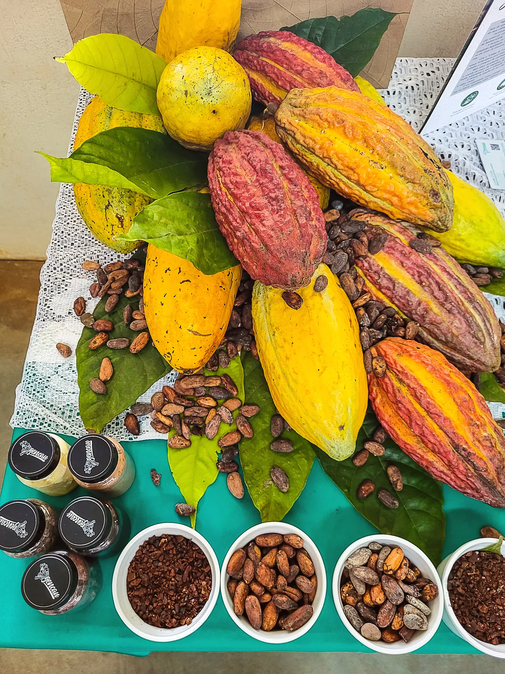 Da árvore à tablete: a que sabe o chocolate da Amazónia?
