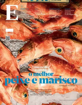 REVISTA E