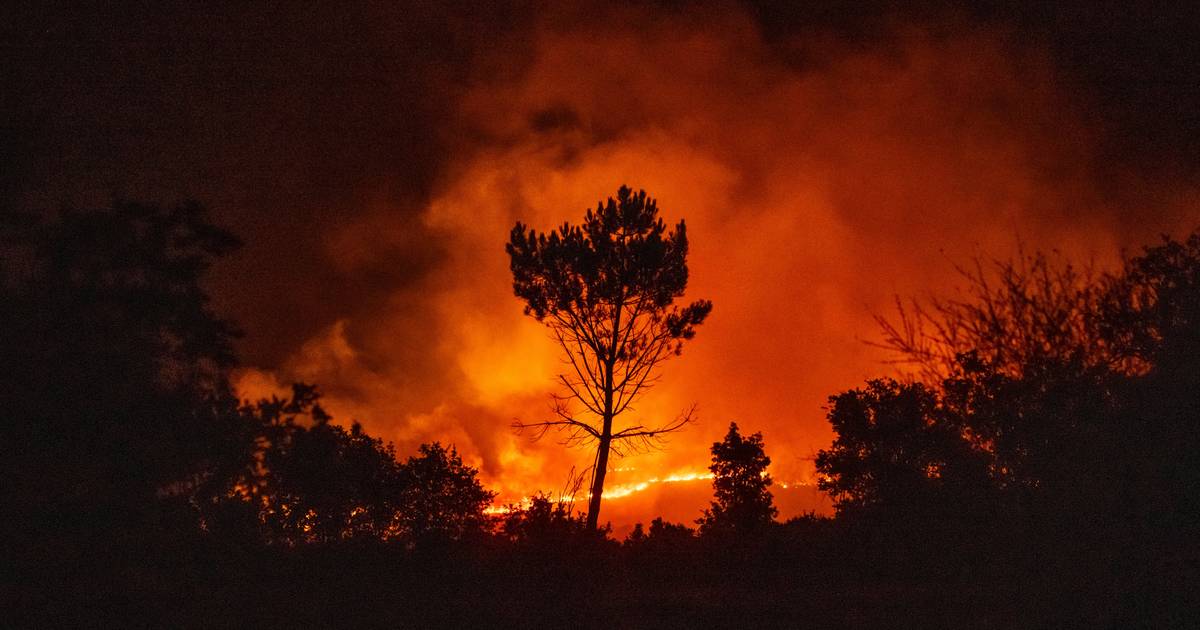 Fogo em Ponte da Barca ameaça habitações: autarca pede reforço de meios