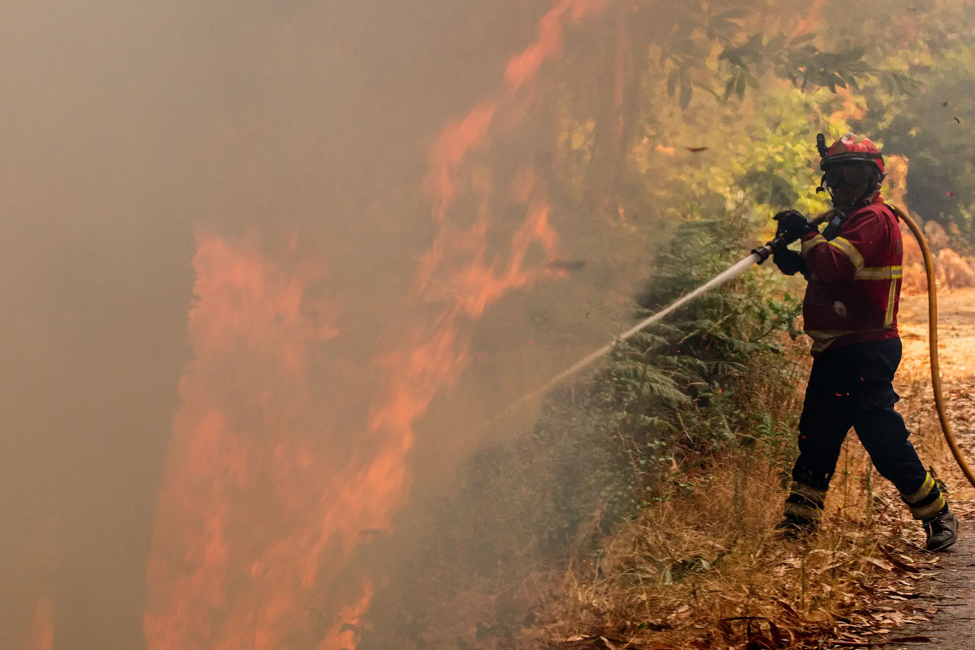 Homem morre durante combate ao incêndio na região de León, em Espanha