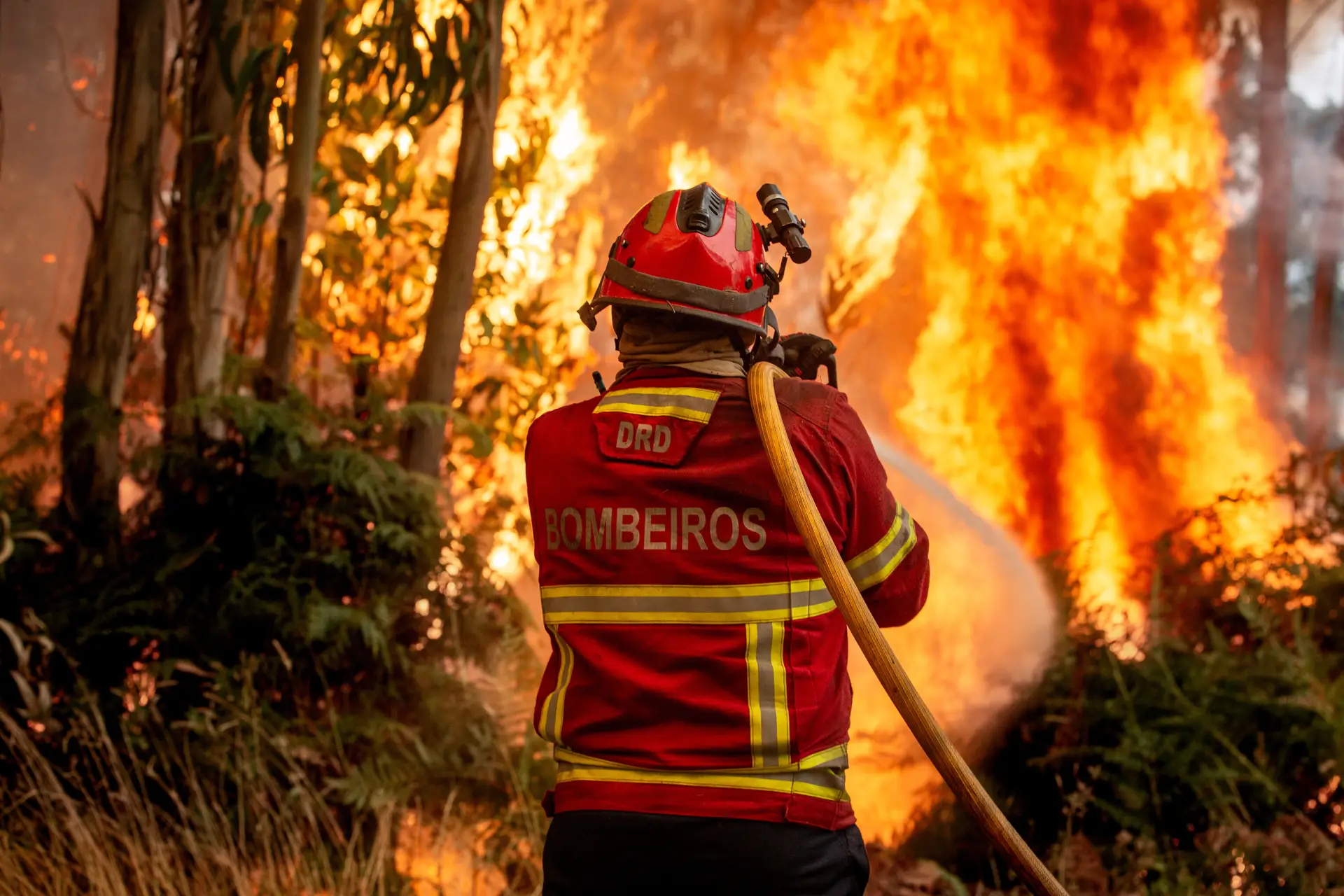 Incêndio em Arouca