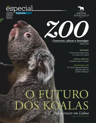 Dossiê Especial