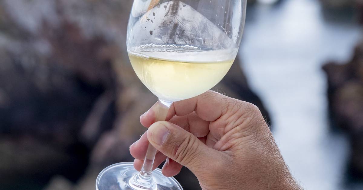 Excelência à prova: conheça os melhores vinhos de Lisboa de 2026