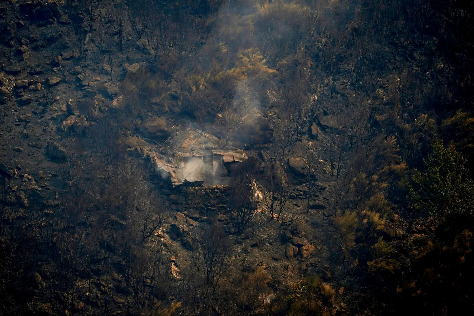Incêndio que começou no Gerês deixou trilhos queimados e negócios em risco
