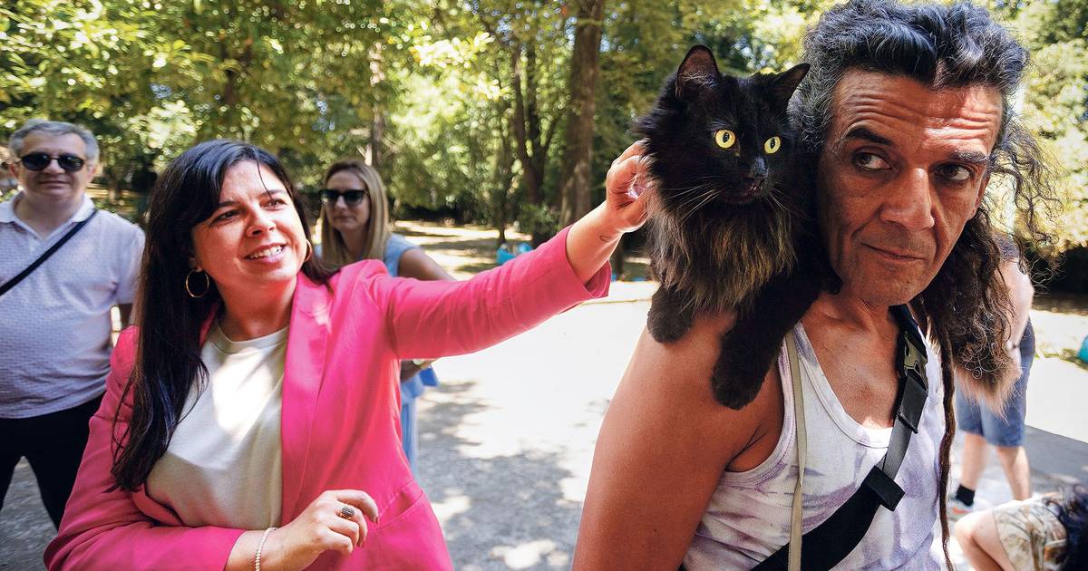 OE2026: PAN abstém-se na votação na generalidade "como sinal de abertura ao diálogo"