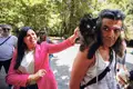 PAN coliga-se com (quase) todos para sobreviver