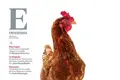 Proteína ao poder