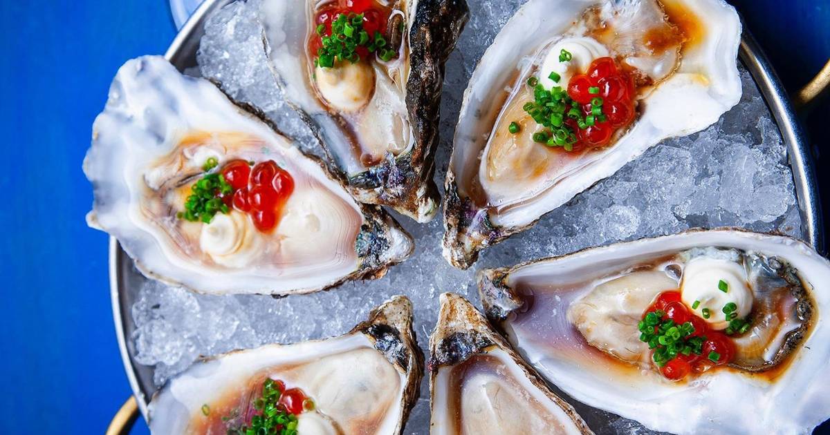 Entre Aveiro e o Algarve, saiba onde celebrar à mesa o Dia Mundial da Ostra
