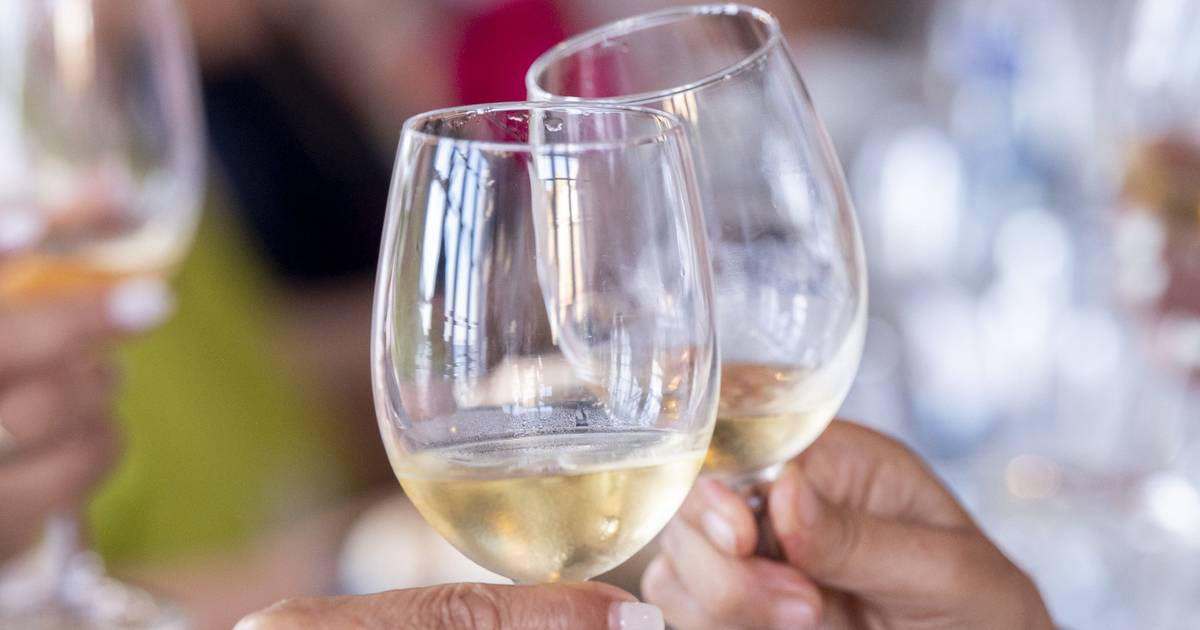 Brancos salinos, rosés elegantes e tintos frescos: conheça as principais tendências de vinhos para este verão