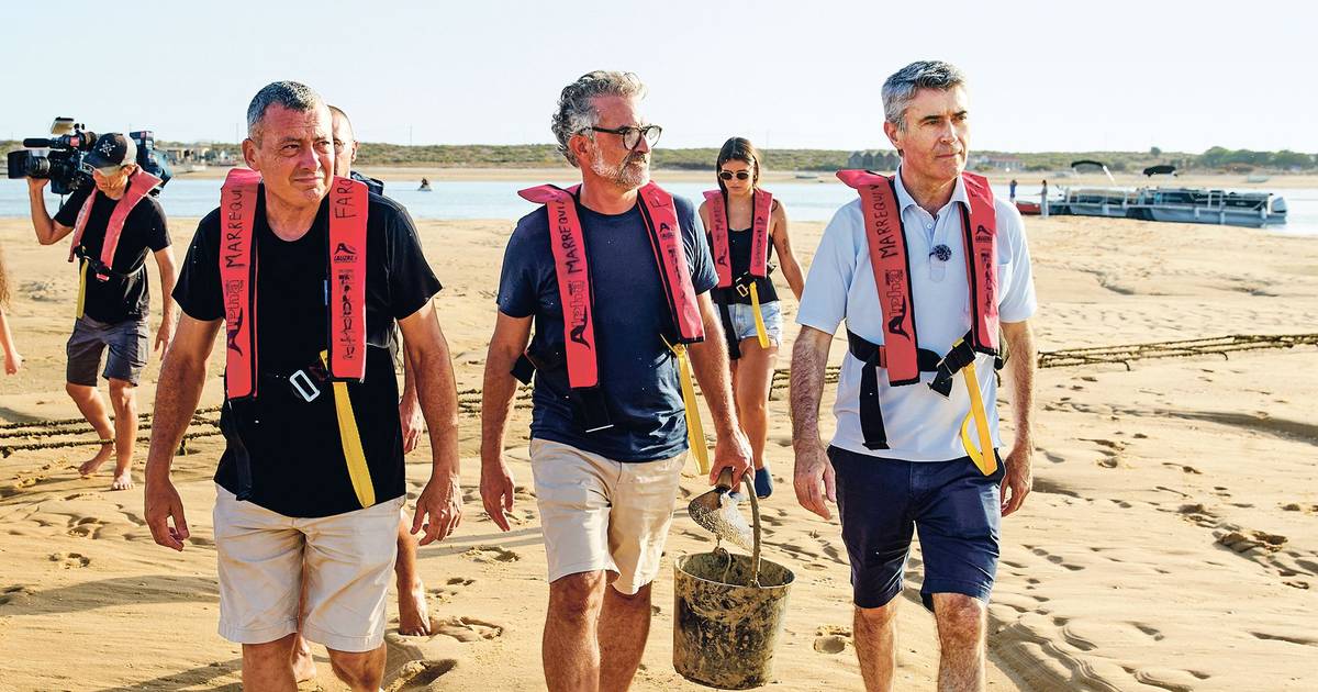 Reportagem: A vantagem de ser ou não de Faro